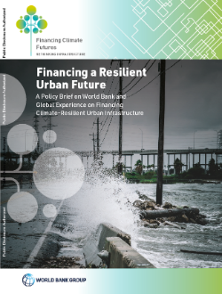 Cover_Financing a Resilient Urban Future_Case Study